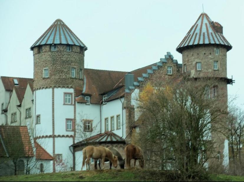 Luxus Appartement Im Schloss Fockelberg Zewnętrze zdjęcie